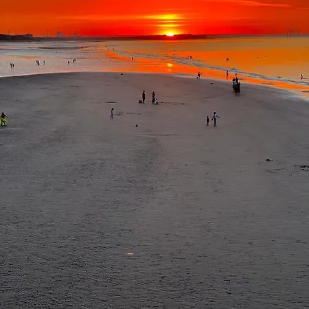 Raybould House شقة *